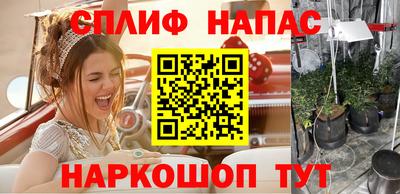 ECSTASY Будённовск