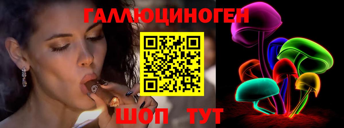 Псилоцибиновые грибы Psilocybe  Вход с VPN  что такое   Набережные Челны 
